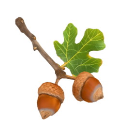 FIRST REFILL เติมเงินครั้งแรกเดือนธันวาคมนี้ รับฟรีไอเทมแรร์ถาวร!!  