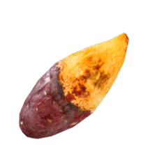 FIRST REFILL เติมเงินครั้งแรกเดือนมกราคมนี้ รับฟรีไอเทมแรร์ถาวร!!  