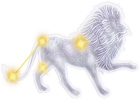 Golden Gacha : What you look at Face Box  